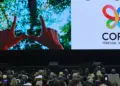 COP17 de biodiversidad cierra con acuerdos limitados para 2030