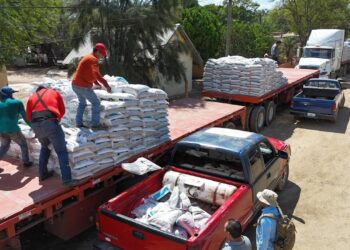 Entregan 183 toneladas de fertilizante a citricultores de Hidalgo, Tamaulipas
