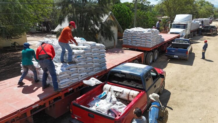 Entregan 183 toneladas de fertilizante a citricultores de Hidalgo, Tamaulipas
