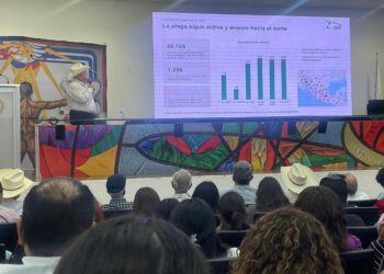 Apertura de frontera de EU a ganado mexicano mejora precios; abrirían en enero y febrero Coahuila y Nuevo León