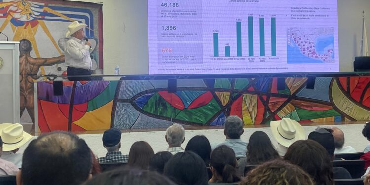 Apertura de frontera de EU a ganado mexicano mejora precios; abrirían en enero y febrero Coahuila y Nuevo León