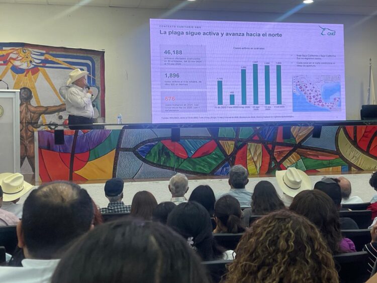 Apertura de frontera de EU a ganado mexicano mejora precios; abrirían en enero y febrero Coahuila y Nuevo León