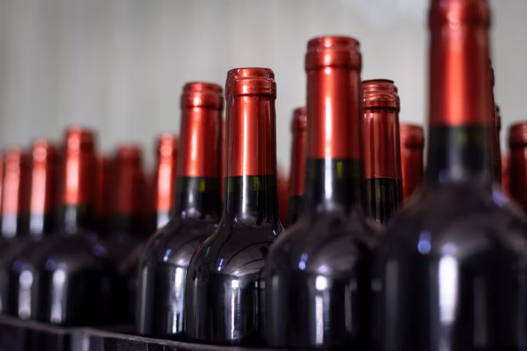 Jóvenes dejan el vino y cambian la industria chilena