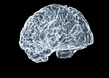 NVIDIA y C-BRAIN desarrollan herramientas de IA para investigar el Alzheimer