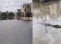 Lluvias “sacan a pasear” a cocodrilos en Madero