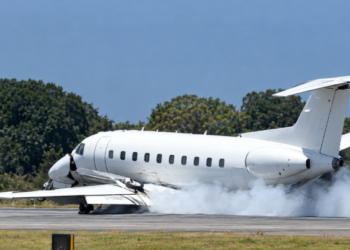 Avión con 30 personas aterriza tras chocar con cebra