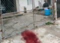 Mujer mata a puñaladas a Pitbull en Tampico